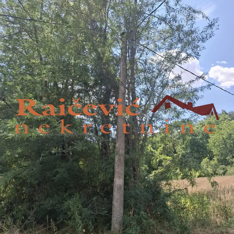Plac Prodaja   14210 m2