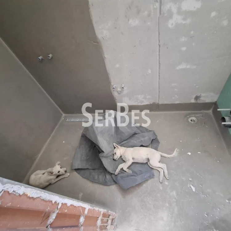 Dvoiposoban stan na prodaju, Alibegovac, Novi Sad, 55m², 90.990 €