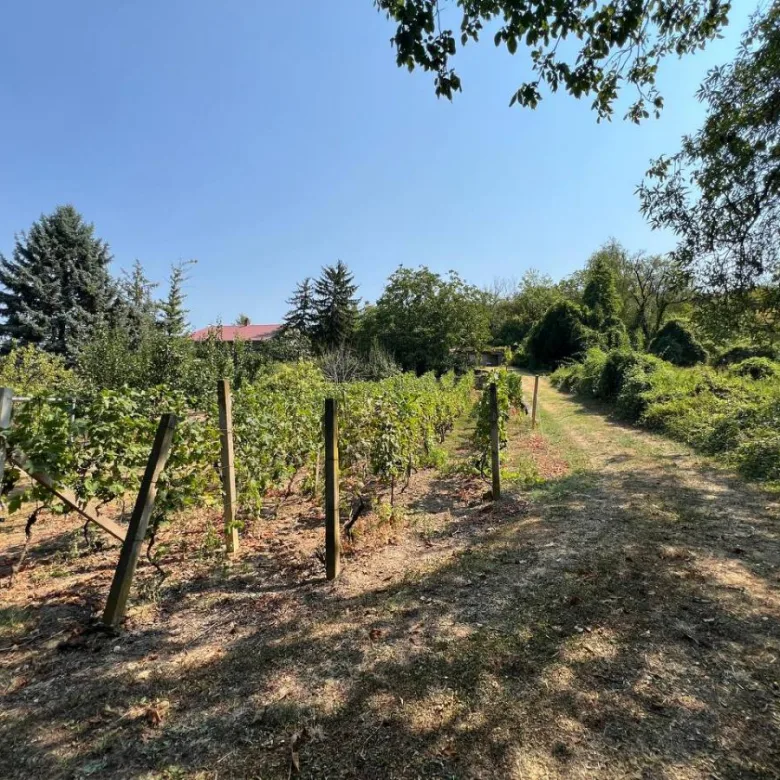 Kuća Prodaja Novi Sad  99 m2