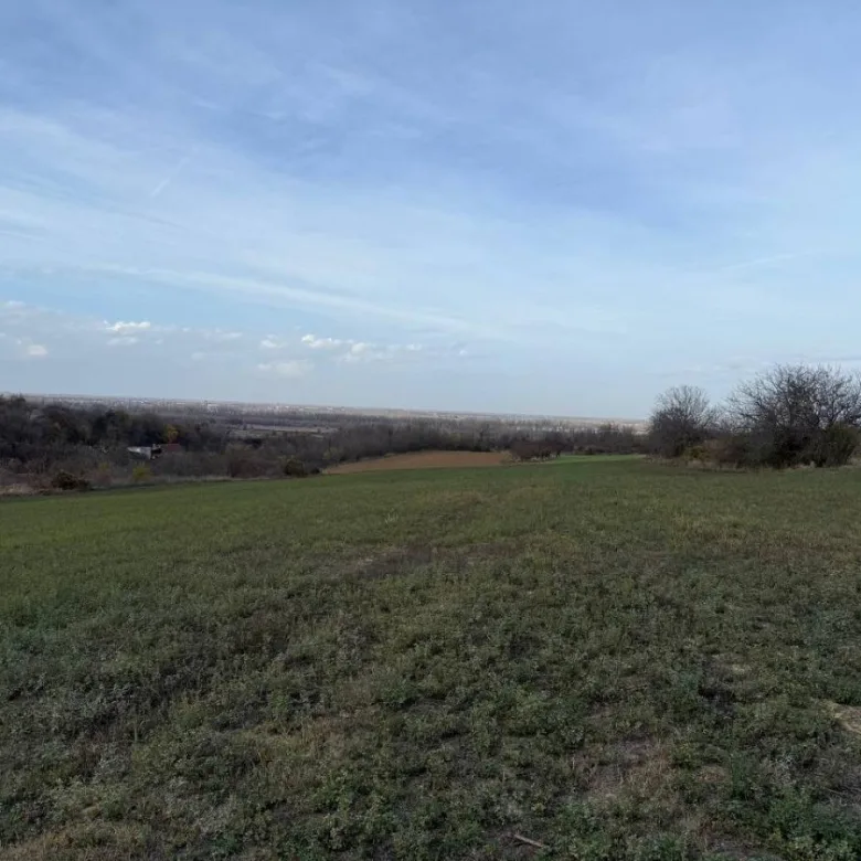 Plac na prodaju, Rakovac, Beočin, 24207m², 242.000 €