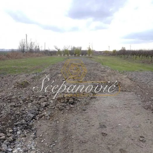 Plac Prodaja Novi Sad  5420 m2