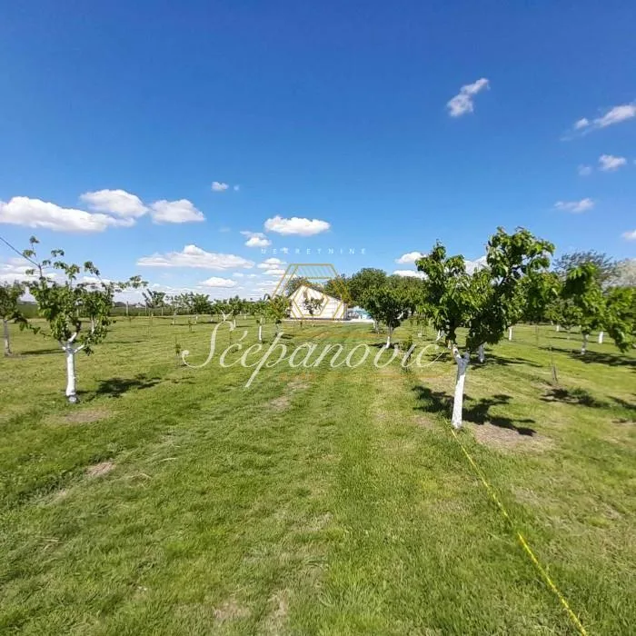 Plac Prodaja Sombor  13178 m2