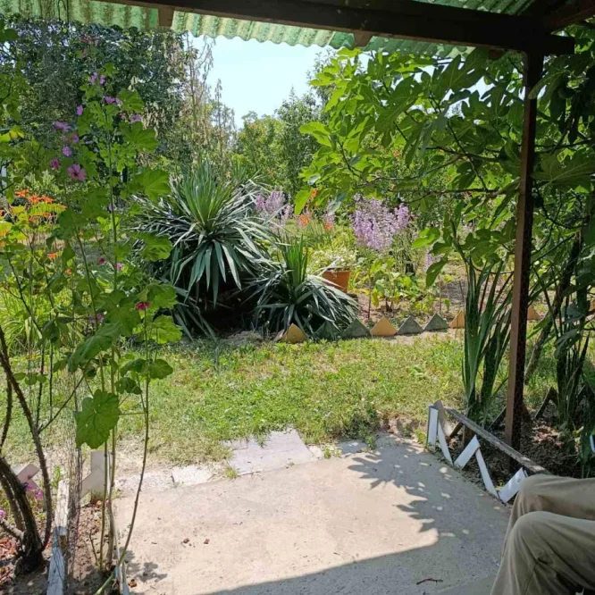 Kuća Prodaja Fruška Gora  56 m2