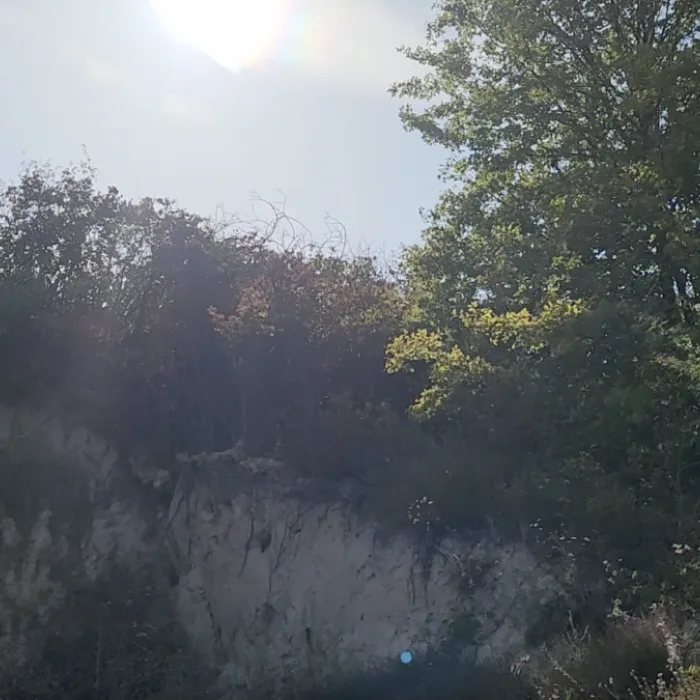 Plac Prodaja Inđija  2003 m2