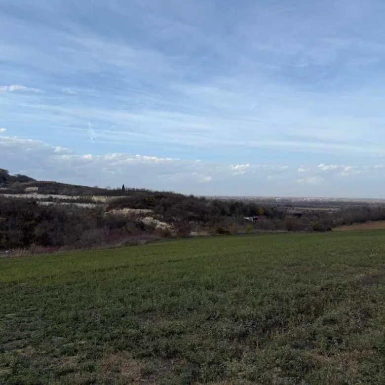 Plac na prodaju, Rakovac, Beočin, 24207m², 242.000 €