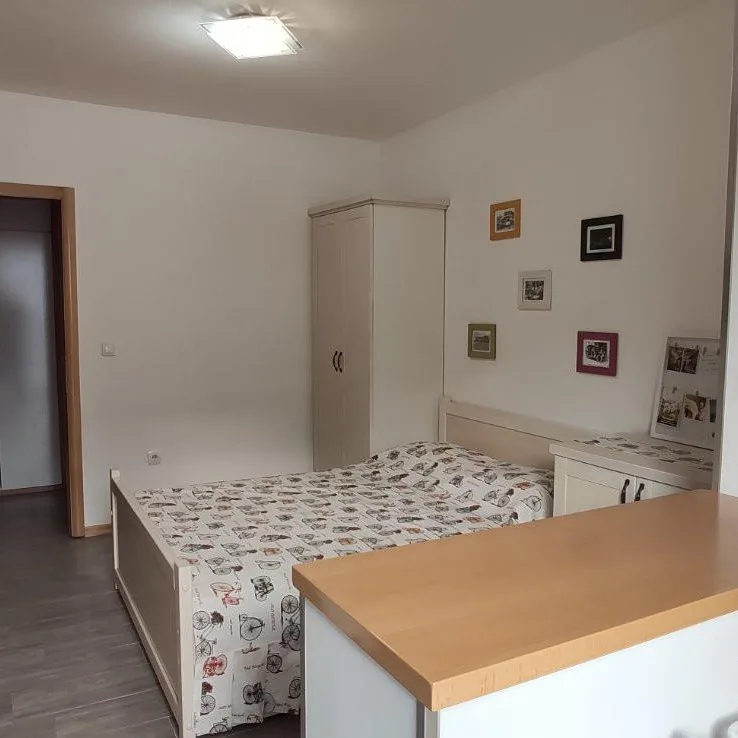 Stan Izdavanje Novi Sad  45 m2