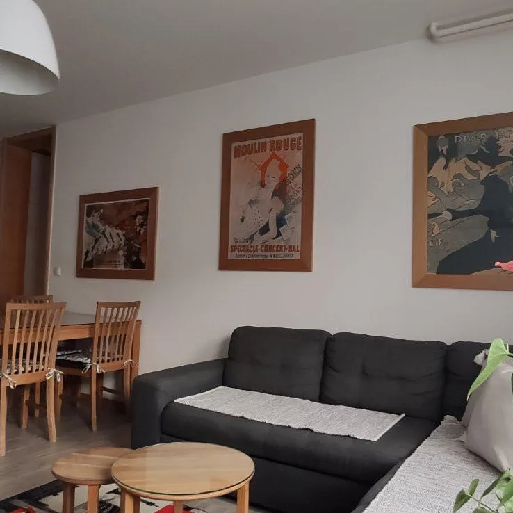 Stan Izdavanje Novi Sad  45 m2