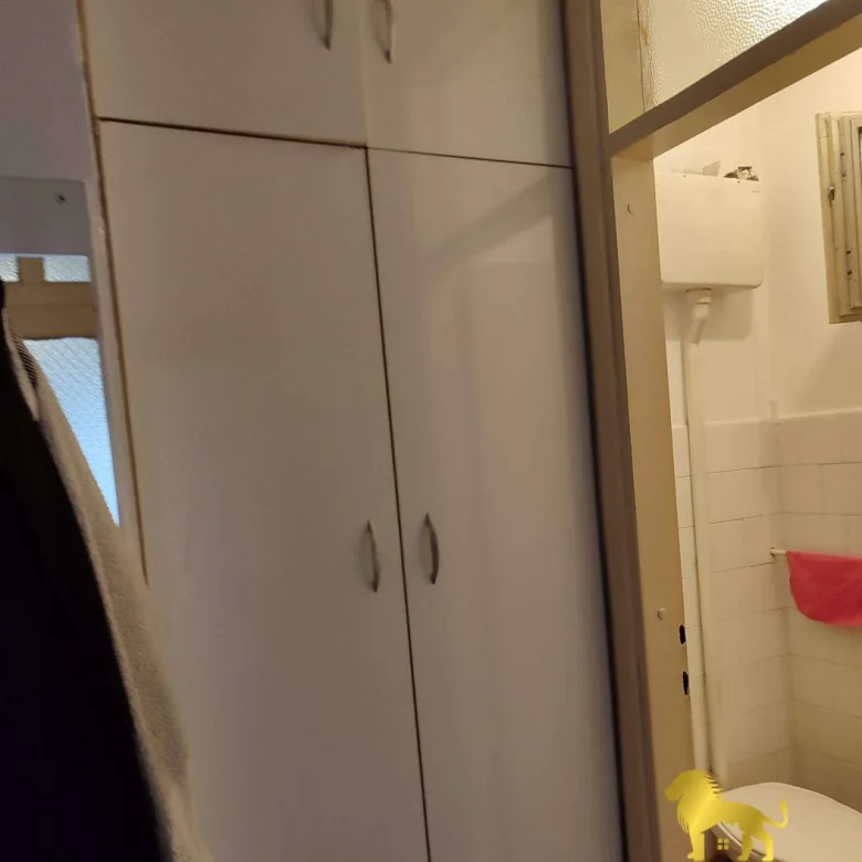 Stan Izdavanje Novi Sad  50 m2
