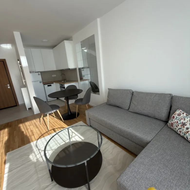 Jednoiposoban stan za izdavanje, Petrovaradin, Novi Sad, 46m², 1. sprat, 600 €/mes