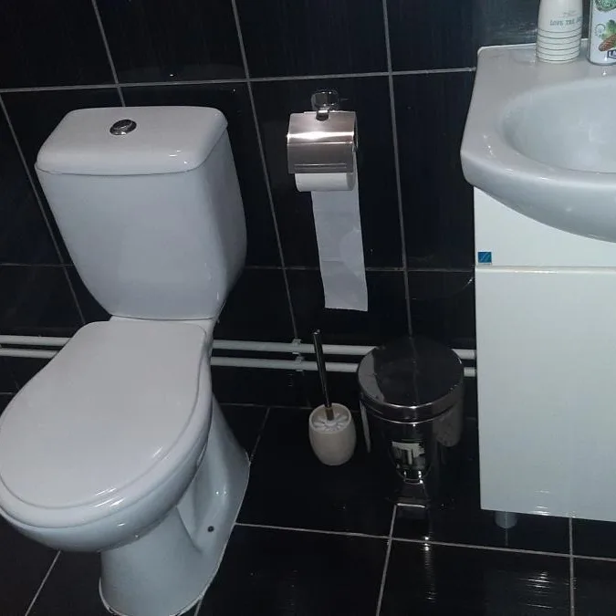Dvosoban stan za izdavanje, Centar, Paraćin, 57m², 300 €/mes