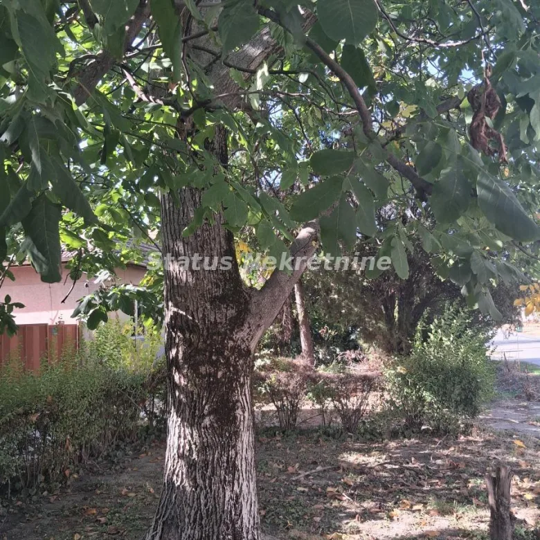 Kuća Prodaja Vrbas  66 m2