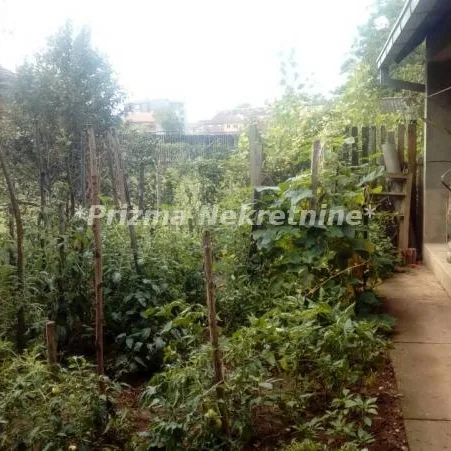 Kuća Prodaja Paraćin  200 m2