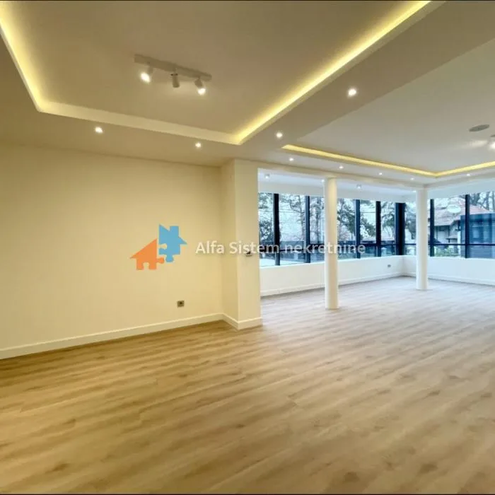 Lokal Izdavanje Beograd Senjak 500 m2