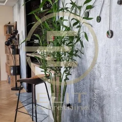 Dvosoban stan za izdavanje, Centar, Novi Sad, 69m², 1.150 €/mes