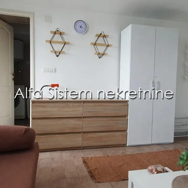 Jednosoban stan za izdavanje, Gradska Bolnica, Beograd, 20m², 450 €/mes