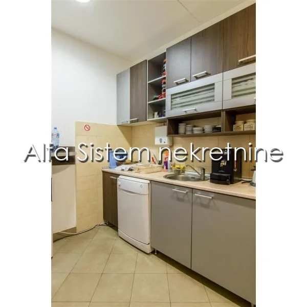 Lokal za izdavanje, Bežanijska Kosa 1, Beograd, 335m², 4.950 €/mes