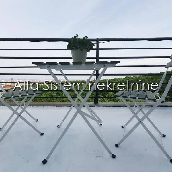 Jednosoban stan za izdavanje, Gradska Bolnica, Beograd, 20m², 450 €/mes