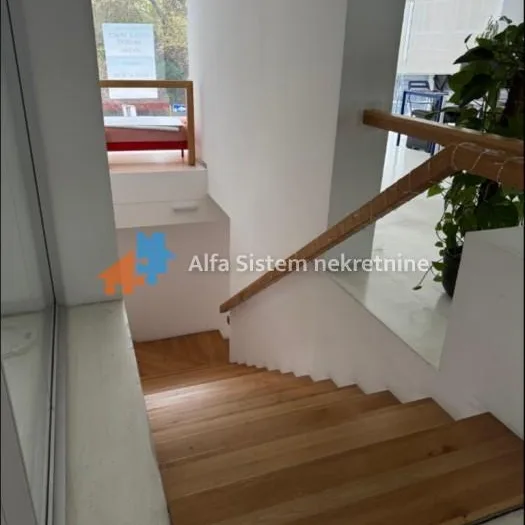 Lokal za izdavanje, Skupština, Beograd, 281m², 3.750 €/mes