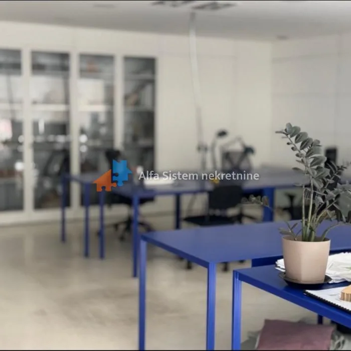 Lokal Izdavanje Beograd Skupština 281 m2