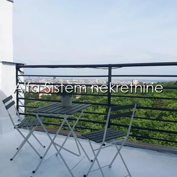 Jednosoban stan za izdavanje, Gradska Bolnica, Beograd, 20m², 450 €/mes