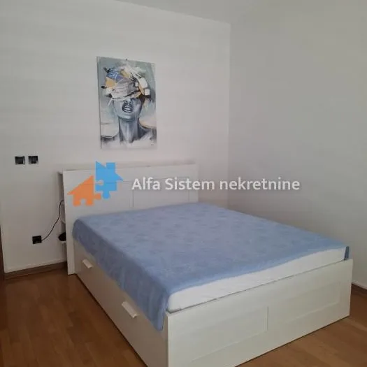 Stan Izdavanje Beograd Palilulska Pijaca 100 m2