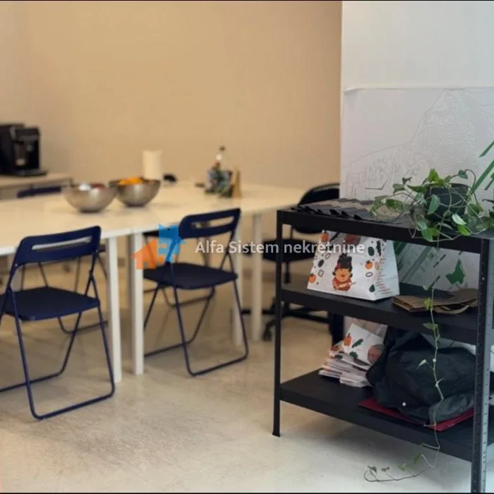 Lokal za izdavanje, Skupština, Beograd, 281m², 3.750 €/mes