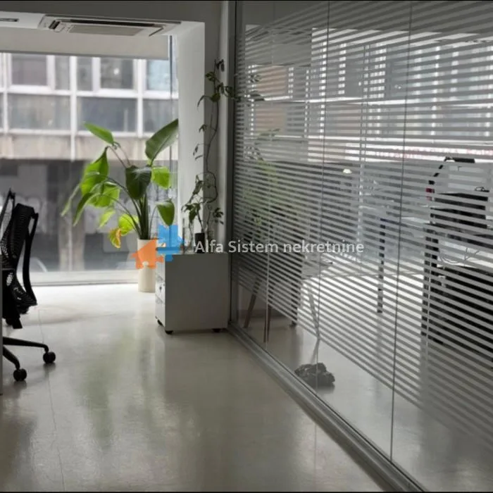 Lokal Izdavanje Beograd Skupština 281 m2