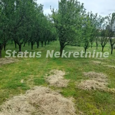 Kuća Prodaja Vrdnik  160 m2