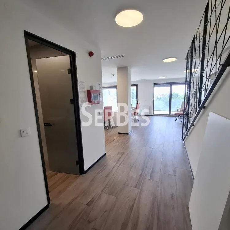 Lokal Izdavanje Novi Sad  314 m2