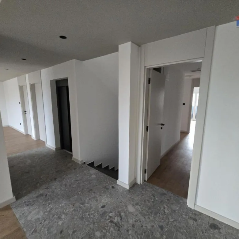 Lokal Izdavanje Novi Sad  221 m2