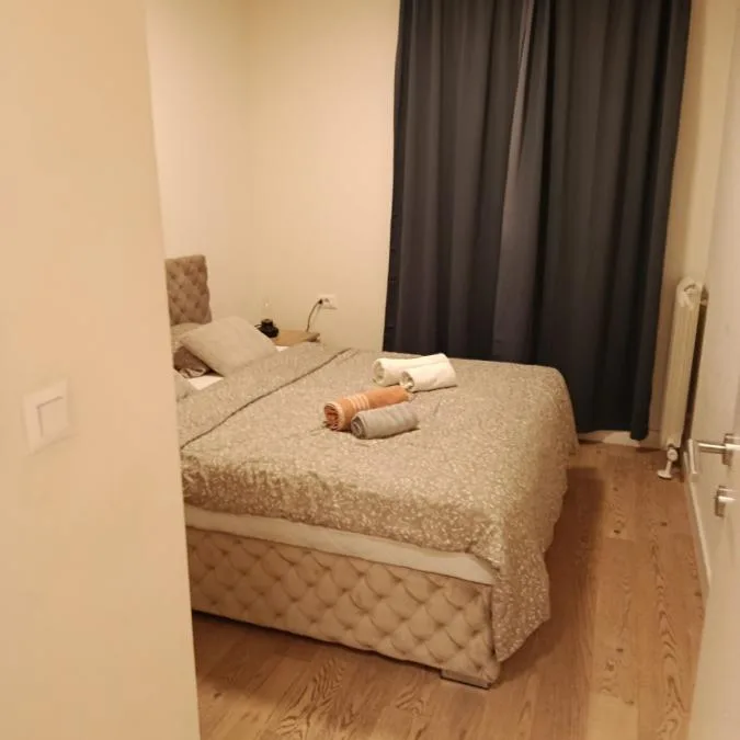 Dvoiposoban stan za izdavanje, Beograd na Vodi, Beograd, 75m², 1.700 €/mes