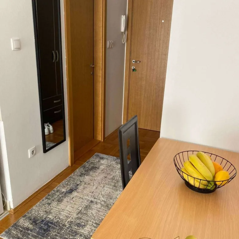 Stan Izdavanje Novi Sad  25 m2