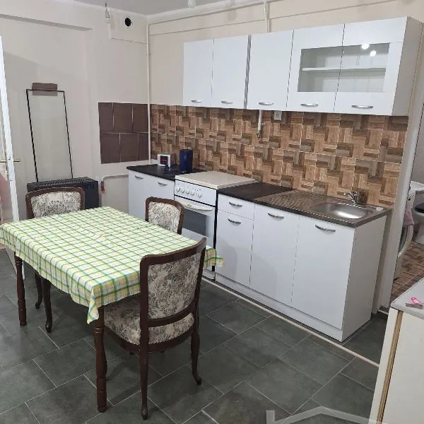 Stan Izdavanje Novi Sad  50 m2