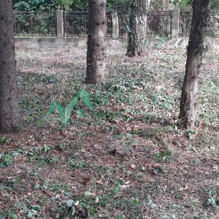 Plac na prodaju, Čortanovci, Inđija, 890m², 27.500 €