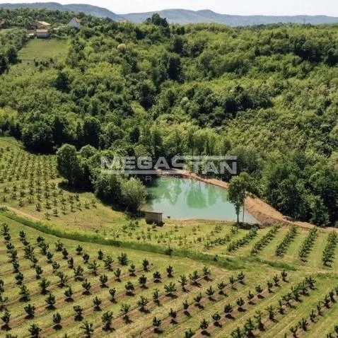 Plac na prodaju, Centar, Aranđelovac, 385.000 €