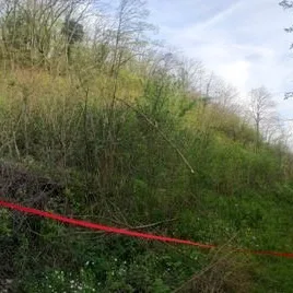 Plac Prodaja Novi Sad  931 m2