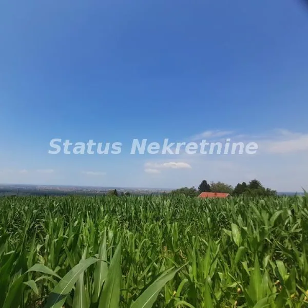 Plac Prodaja Beočin  0 m2