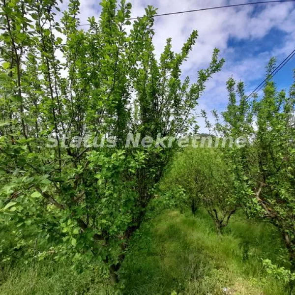 Plac Prodaja Vrdnik  0 m2