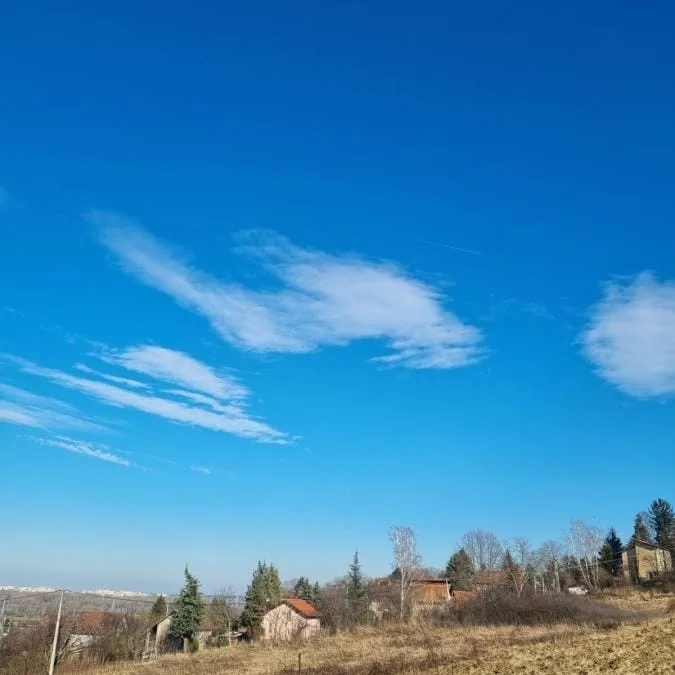Plac Prodaja Novi Sad  0 m2
