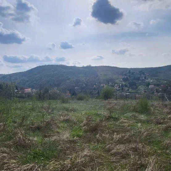Plac Prodaja Beočin  2881 m2