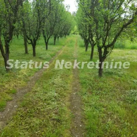 Kuća na prodaju, Vrdnik, Irig, 160m², 288.400 €