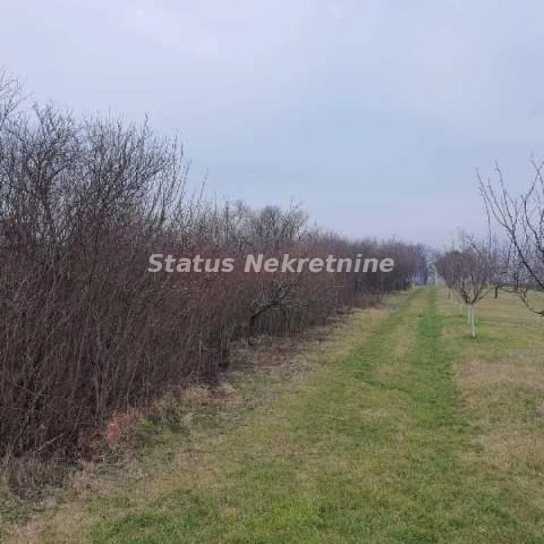 Plac Prodaja Inđija  0 m2