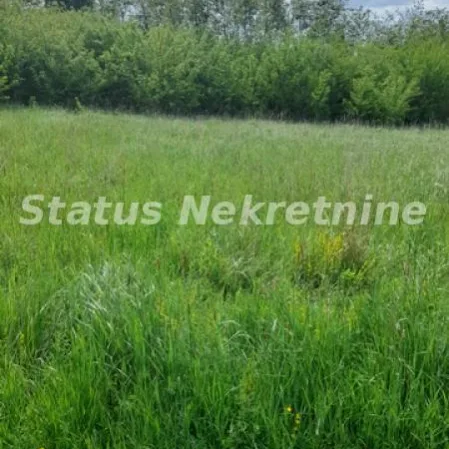 Plac Prodaja Vrdnik  0 m2