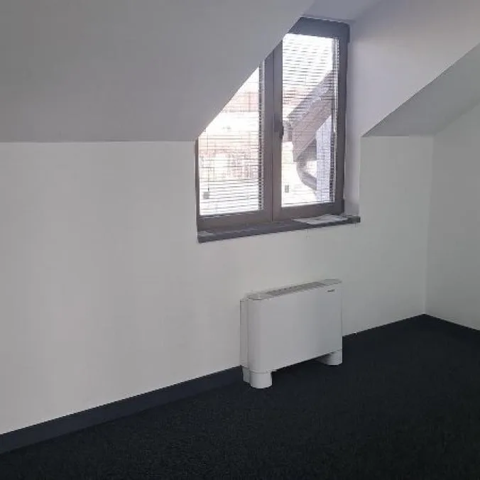 Lokal za izdavanje, Donji Grad, Pančevo, 1212m², 10.000 €/mes