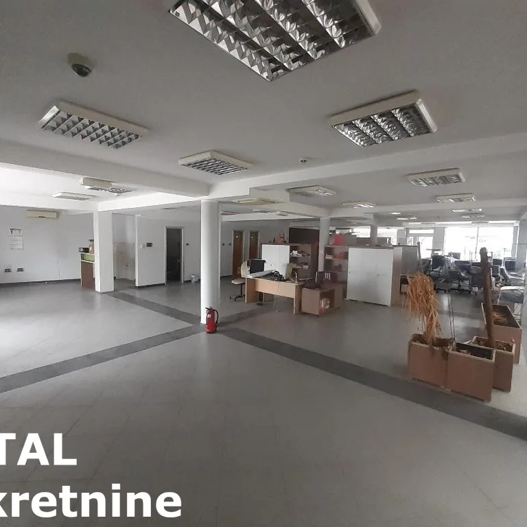 Lokal Izdavanje Novi Sad  381 m2