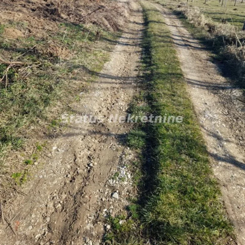Plac Prodaja Vrdnik  0 m2