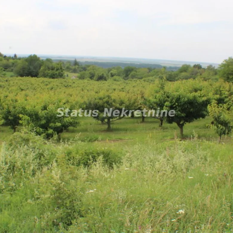 Plac Prodaja Inđija Krčedin 0 m2