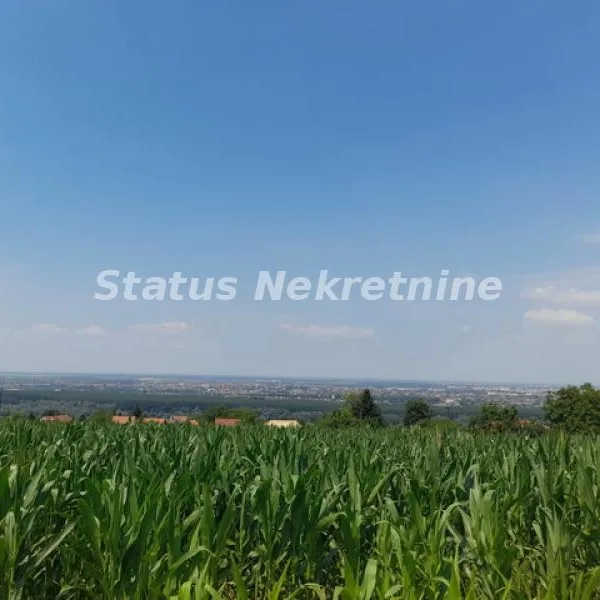 Plac Prodaja Beočin  0 m2