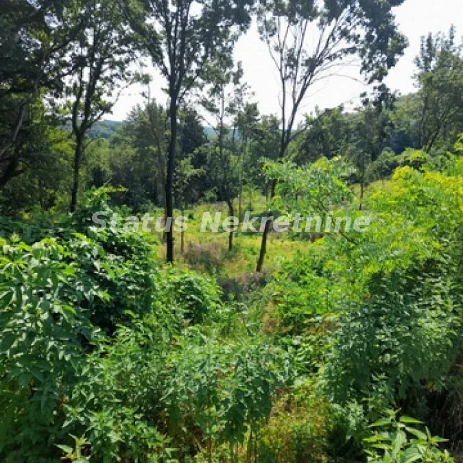 Plac Prodaja Vrdnik  0 m2