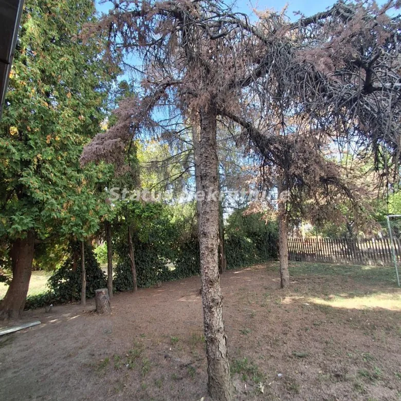 Kuća na prodaju, Čenej, Novi Sad, 170m², 236.900 €